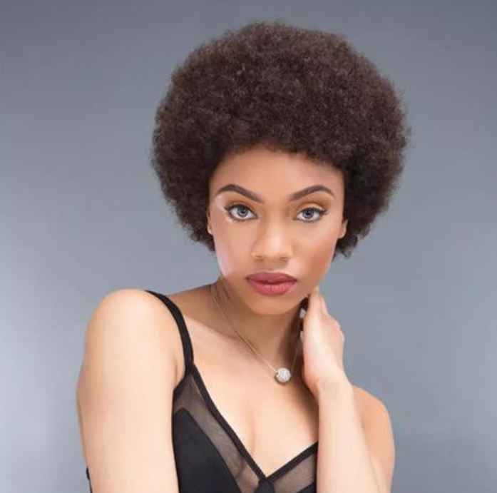 Natural Kinky Curly Wig